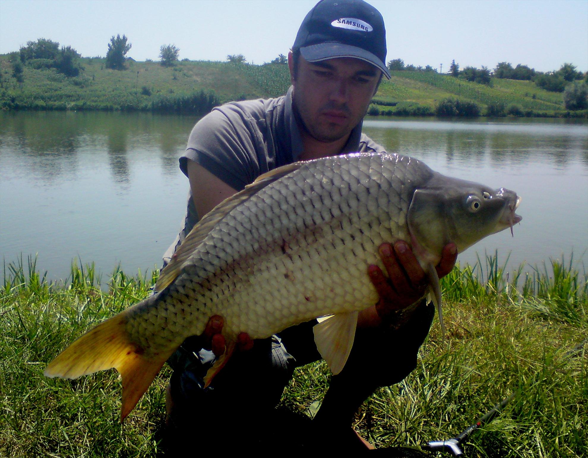 Moara Vlasiei 04.06.2012 - dsc00043.JPG